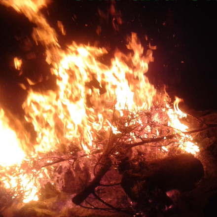 Feuer BDP